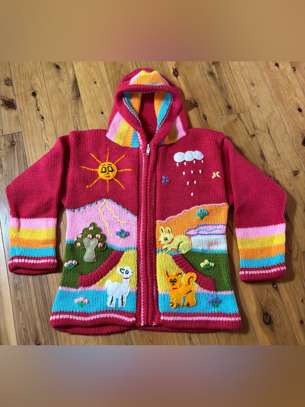 Kid’s Handknit Peruvian Zip Up Hooded Sweater Sz 6 Colorful Animals Landscape